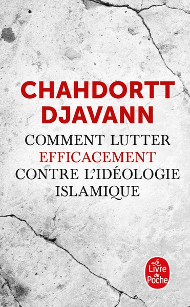 Image de Comment lutter efficacement contre l'idéologie islamique
