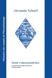 Image de Monde et phénoménalisation