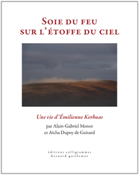Picture of Soie du feu sur l'étoffe du ciel
