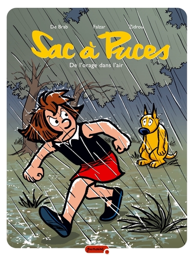 Image de Sac à puces - Tome 7 - De l'orage dans l'air