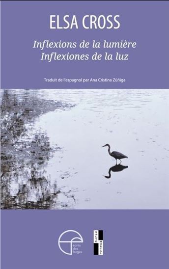 Picture of INFLEXIONS DE LA LUMIERE / INFLEXIONES DE LA LUZ