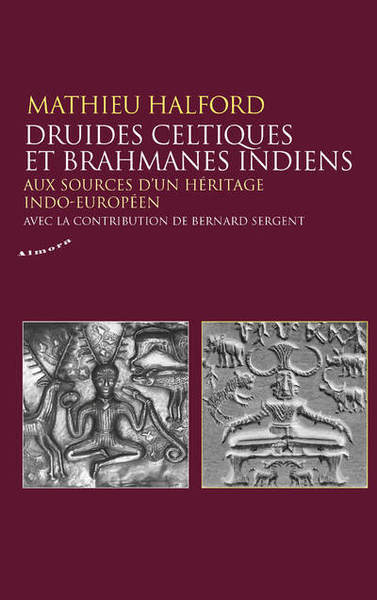 Picture of Druides celtiques et brahmanes indiens - Aux sources d'un héritage indo-européen
