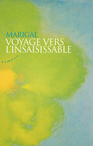 Image de Voyage vers l'insaisissable