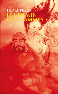 Image de Le chemin des flammes