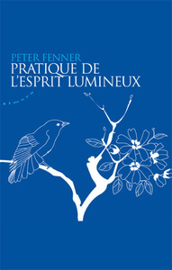 Picture of Pratique de l'esprit lumineux
