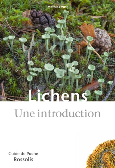 Image de Lichens, Une introduction