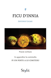 Picture of Ficu d'Innia