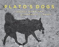Image de Thomas Roma Plato's Dogs /anglais