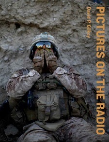 Image de David Gilkey Pictures on the Radio - From The Frontlines of History with NPR News /anglais