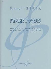 Image de PAYSAGES D'OMBRES