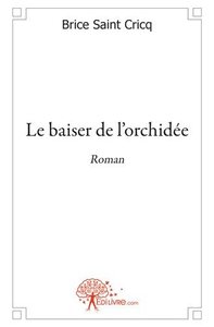 Picture of Le baiser de l'orchidée