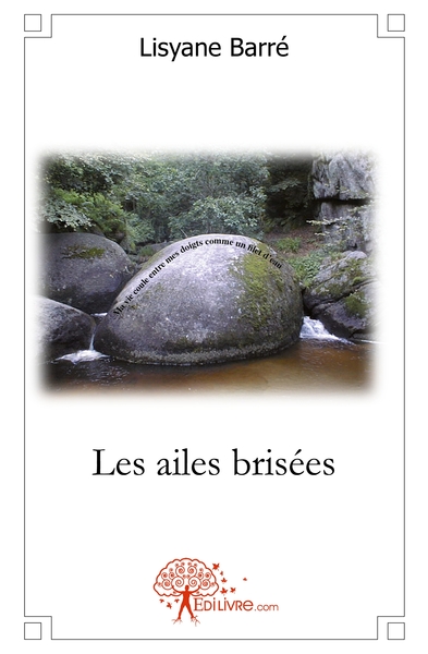 Image de Les ailes brisées