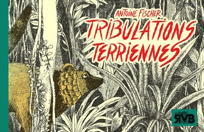 Image de TRIBULATIONS TERRIENNES