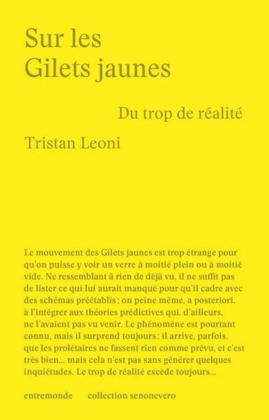 Image de SUR LES GILETS JAUNES : DU TROP DE REALITE