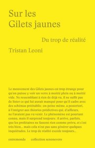 Image de SUR LES GILETS JAUNES : DU TROP DE REALITE