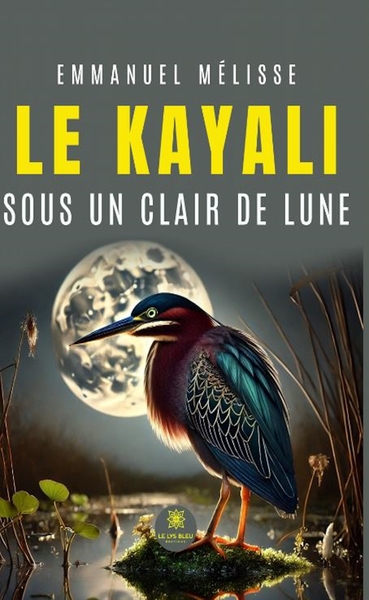 Picture of Le kayali sous un clair de lune