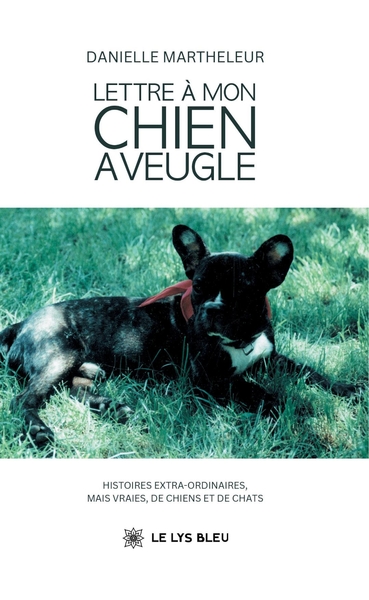 Image de Lettre à mon chien aveugle