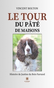 Picture of Le tour du pâté de maisons