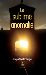 Image de La sublime anomalie