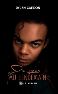 Picture of Du jour au lendemain