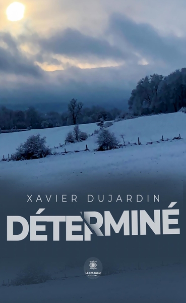 Picture of Déterminé