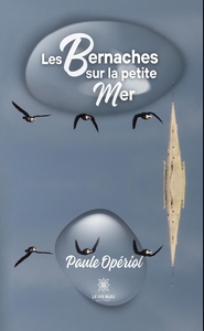 Picture of Les bernaches sur la petite mer