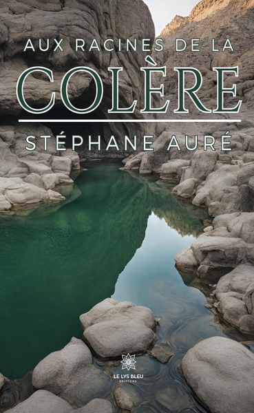 Image de Aux racines de la colère
