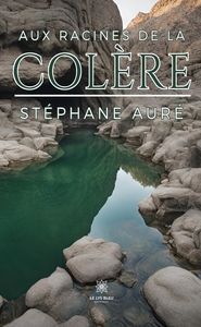 Image de Aux racines de la colère