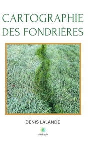 Picture of Cartographie des fondrières