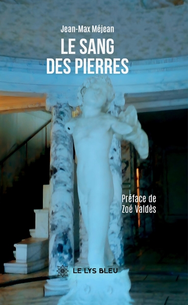 Picture of Le sang des pierres