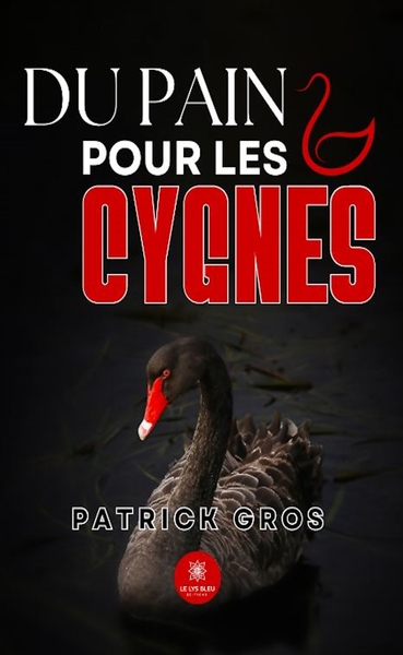 Image de Du pain pour les cygnes