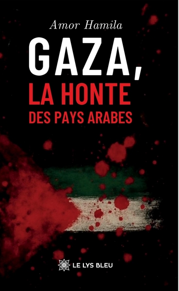 Image de Gaza, la honte des pays arabes