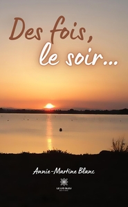Picture of Des fois, le soir...