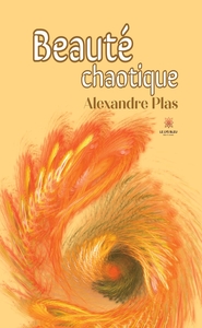 Picture of Beauté chaotique