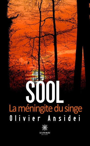 Picture of Sool