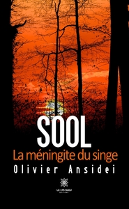 Picture of Sool