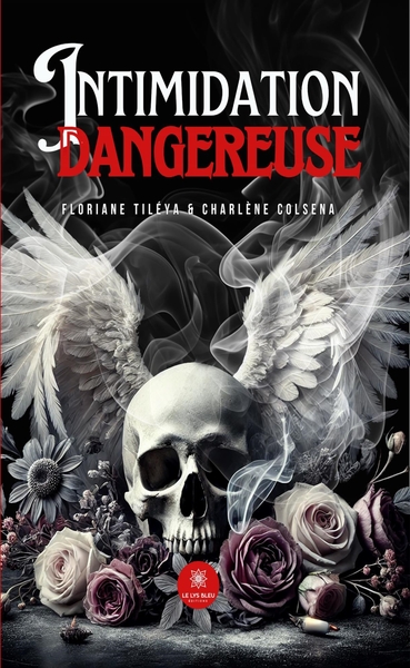 Image de Intimidation dangereuse