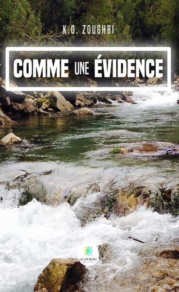 Picture of Comme une évidence