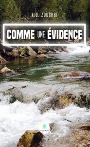 Picture of Comme une évidence