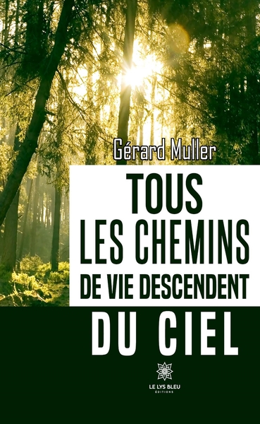 Picture of Tous les chemins de vie descendent du ciel