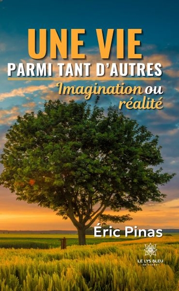 Picture of Une vie parmi tant d'autre (imagination ou réalité)