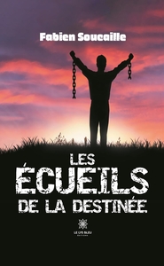 Picture of Les écueils de la destinée