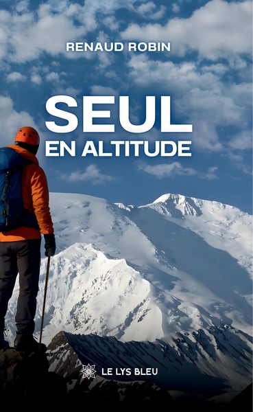 Image de Seul en altitude