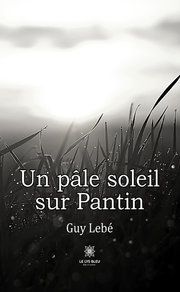 Image de Un pâle soleil sur Pantin