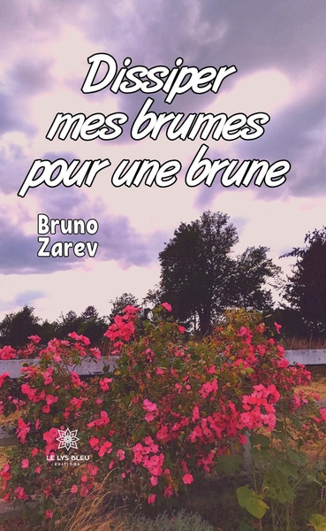 Picture of Dissiper mes brumes pour une brune