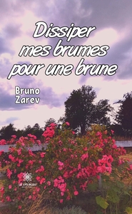Picture of Dissiper mes brumes pour une brune