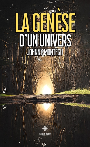 Picture of La genèse d'un univers