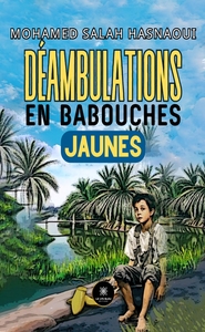 Image de Déambulations en babouches jaunes