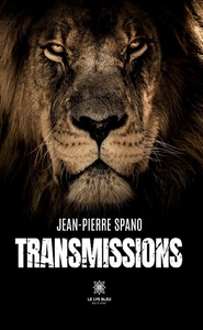 Picture of Transmissions