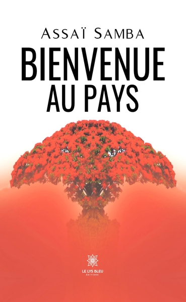 Picture of Bienvenue au pays